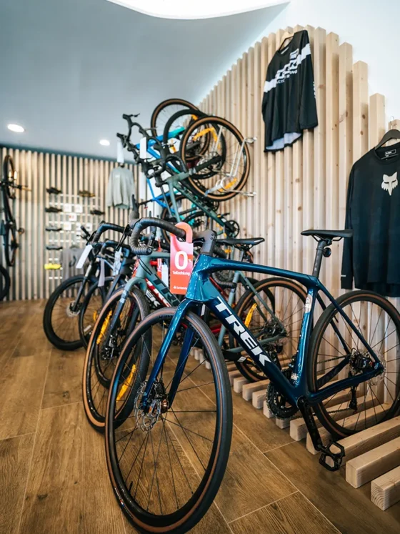 Bikeladen DeGo Gravelbikes